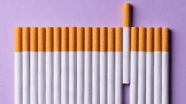 Smoke Shop Products List - Tobacco Products