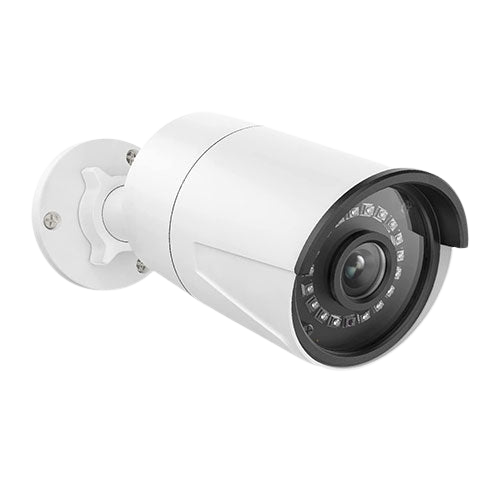 Surveillance Cameras