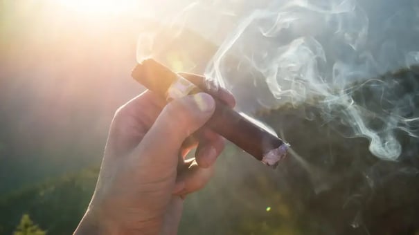 Tobacco retail inventory management software | Cigars POS