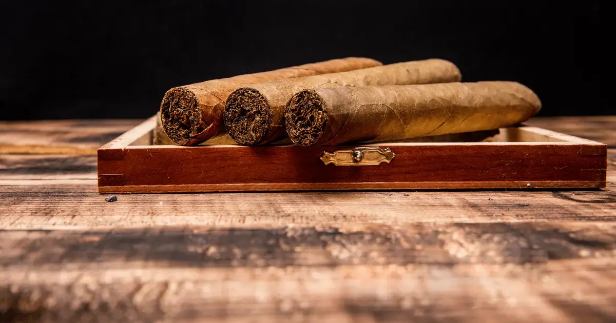 TORO vs. Cigars POS: Which POS System Is Best for Your Tobacco Store?