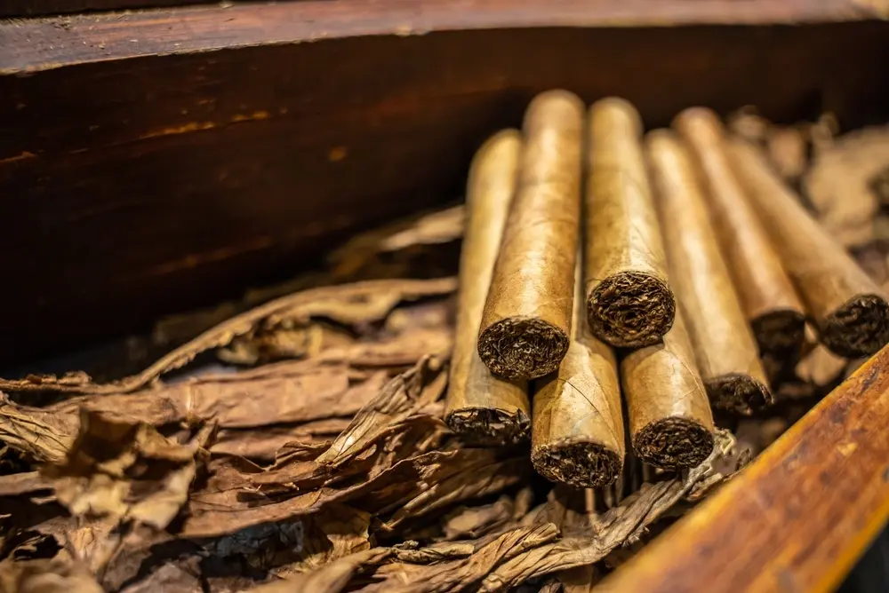 5 Tobacco Industry Trends To Stay Ahead Of