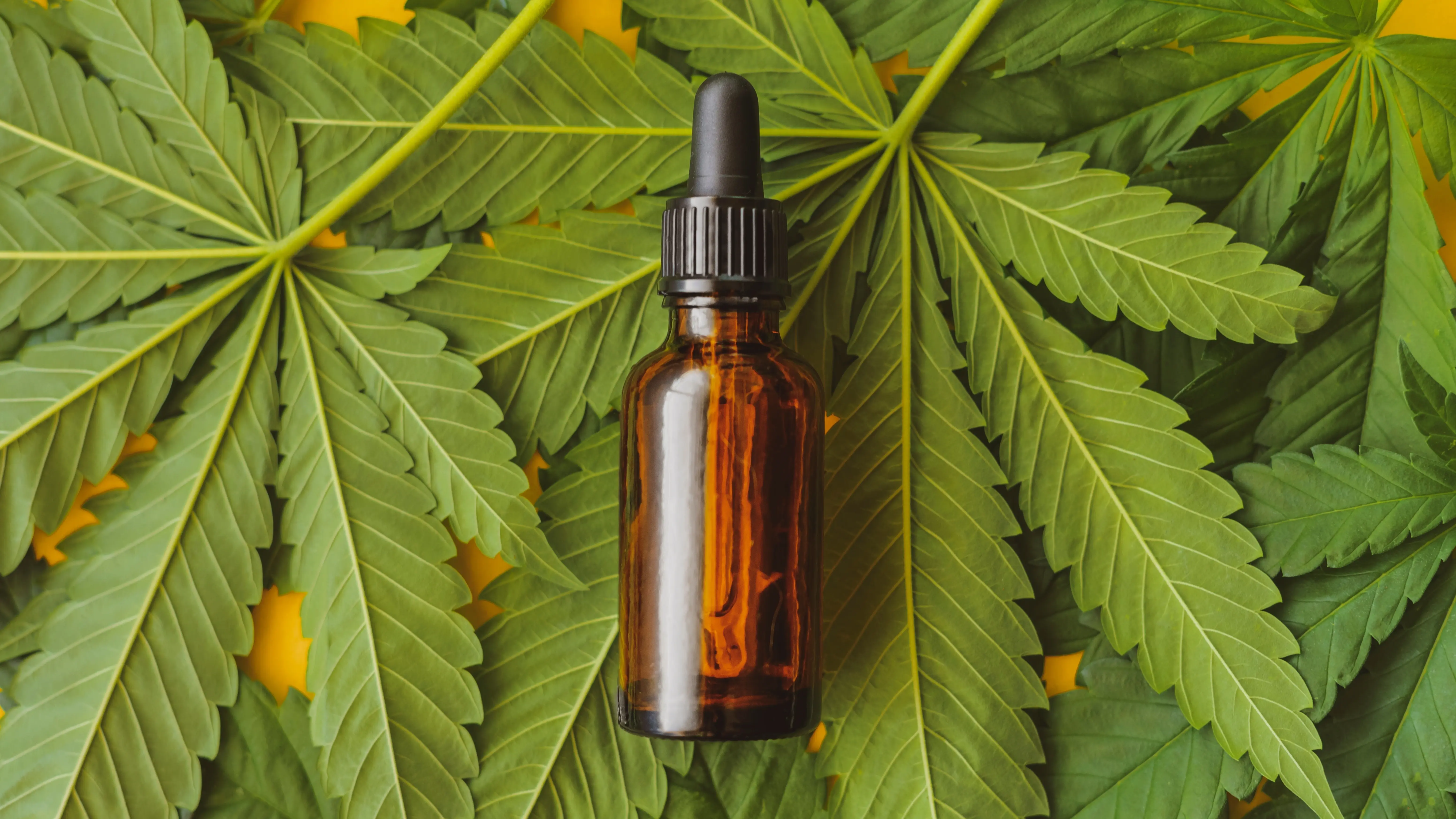 How To Find a CBD POS System: 3 Top Providers